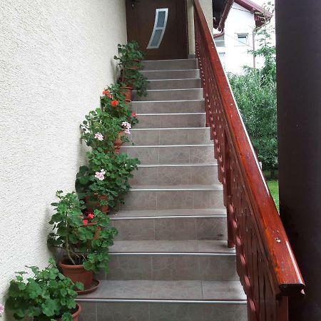 Apartman Petra & Tena Slunj Exterior foto