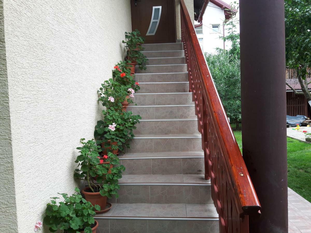 Apartman Petra & Tena Slunj Exterior foto